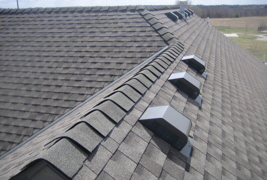 Shingle Roof