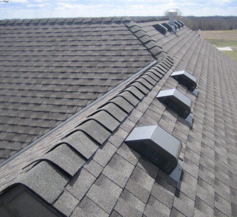 Shingle Roof